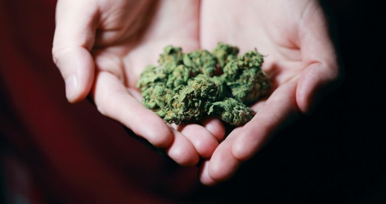 Auswirkungen der Cannabis-Legalisierung in Kanada