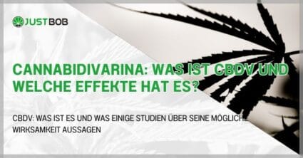 Cannabidivarina: Was ist CBDV und welche Effekte hat es?
