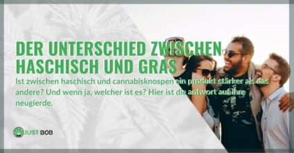 Der Unterschied zwischen Haschisch und Gras