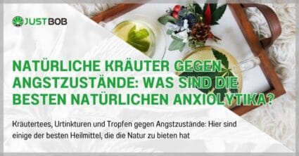 Natürliche Kräuter gegen Angstzustände