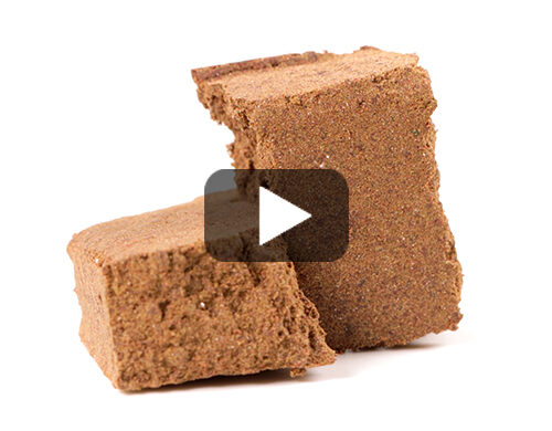 orange-dry-Video-cbd-haschisch