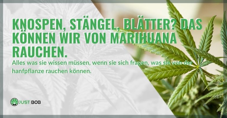 Knospen, Stängel, Blätter? Das können wir von Marihuana rauchen