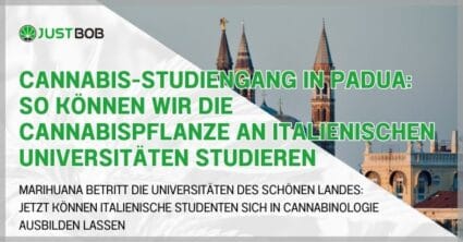 Cannabis-Studiengang in Padua