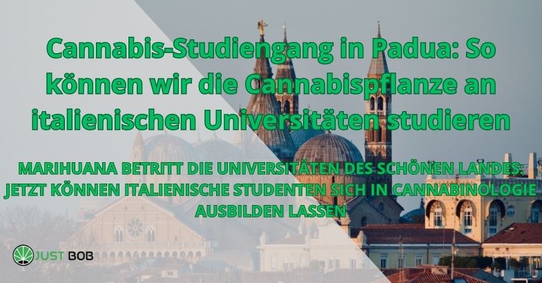 Cannabis-Studiengang in Padua