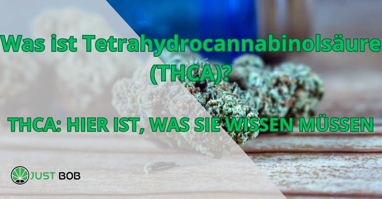 THCA: der Wirkstoff in Cannabis, den Sie nicht erwarten