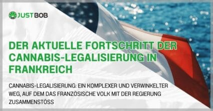 Der aktuelle Fortschritt der Cannabis-Legalisierung in Frankreich