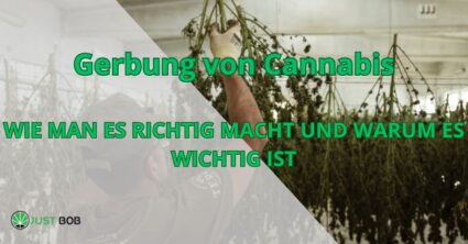 Gerbung von Cannabis