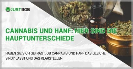Cannabis und Hanf: Hier sind die Hauptunterschiede