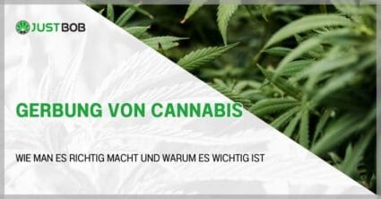 Gerbung von Cannabis