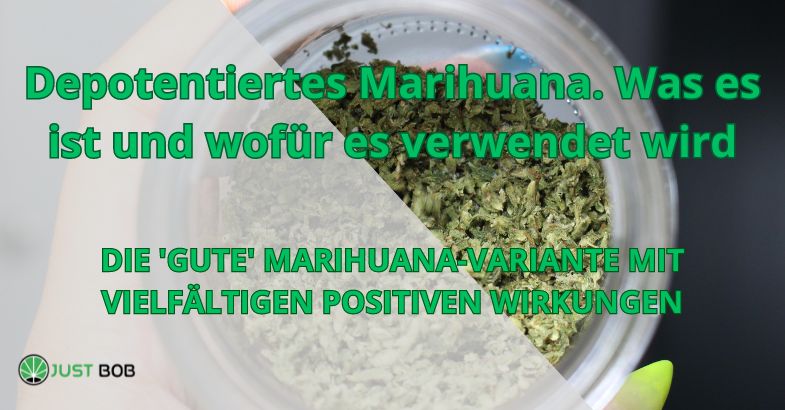 Depotentiertes Marihuana. Was es ist und wofür es verwendet wird