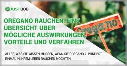 Oregano Rauchen: Eine Übersicht über mögliche Auswirkungen, Vorteile und Verfahren
