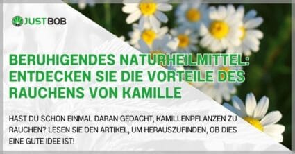Beruhigendes Naturheilmittel: Entdecken Sie die Vorteile des Rauchens von Kamille