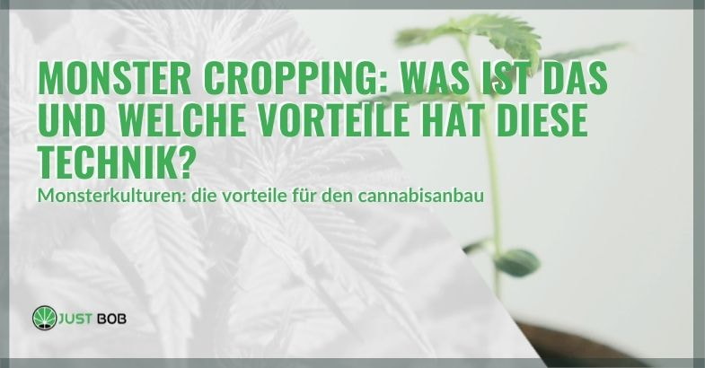 Monster Cropping: Was ist das und welche Vorteile hat diese Technik?