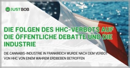 DIE FOLGEN DES HHC-VERBOTS AUF DIE ÖFFENTLICHE DEBATTE UND DIE INDUSTRIE