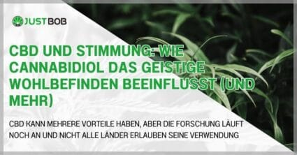 CBD und Stimmung: Wie Cannabidiol das geistige Wohlbefinden beeinflusst