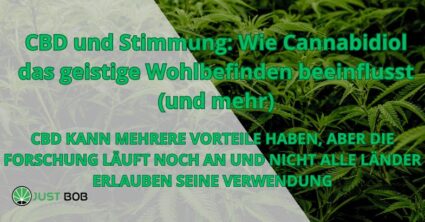 CBD und Stimmung: Wie Cannabidiol das geistige Wohlbefinden beeinflusst