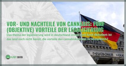 Vor- und Nachteile von Cannabis
