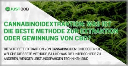 Cannabinoidextraktion: Was ist die beste Methode zur Extraktion oder Gewinnung von CBD?
