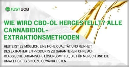 Wie wird CBD-Öl hergestellt? Alle Cannabidiol-Extraktionsmethoden