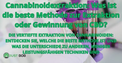 Cannabinoidextraktion: Was ist die beste Methode