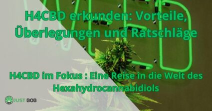 H4CBD erkunden: Vorteile