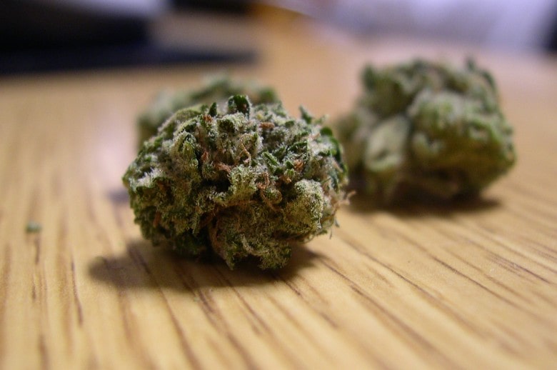 Super Silver Haze und der White Widow