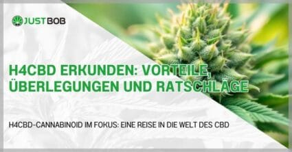 H4CBD erkunden: Vorteile, Überlegungen und Ratschläge