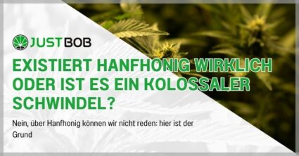 Existiert Hanfhonig wirklich oder ist es ein kolossaler Schwindel?