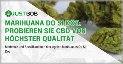 Marihuana Do Si Dos: Probieren Sie CBD von höchster Qualität