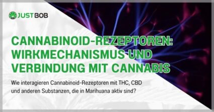 Cannabinoid-Rezeptoren: Wirkmechanismus und Verbindung mit Cannabis