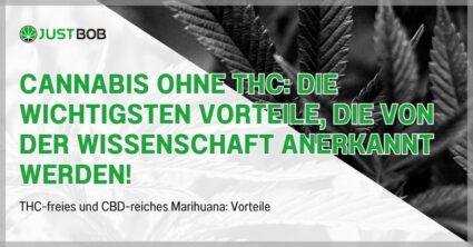 Cannabis ohne THC: die wichtigsten Vorteile