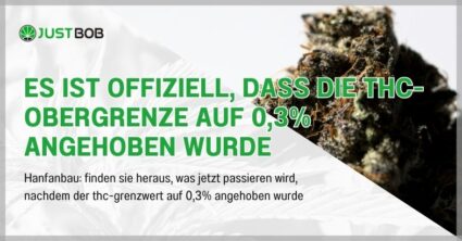 Es ist offiziell, dass die THC-Obergrenze auf 0,3% angehoben wurde