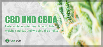 CBD und CBDA: Was sind die Unterschiede?