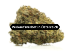 ak47-cbd-boost-blueten-verkaufsverbot-in-osterreich