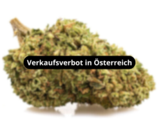 bubblegum-blueten-verkaufsverbot-in-osterreich