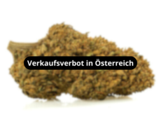 california-haze-blueten-verkaufsverbot-in-osterreich