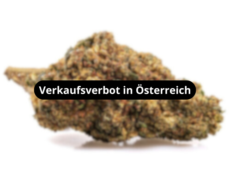 gg#4-cbd-boost-blueten-verkaufsverbot-in-osterreich