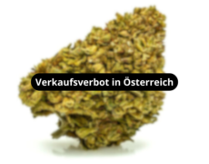 gorilla-glue-blueten-verkaufsverbot-in-osterreich