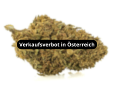 lemon-cheese-blueten-verkaufsverbot-in-osterreich