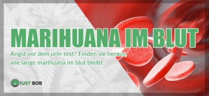 Marihuana im Blut: So lange bleibt es dort?