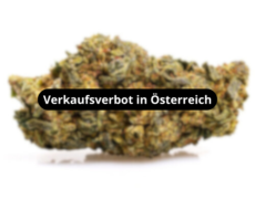 orange-cbd-boost-blueten-verkaufsverbot-in-osterreich