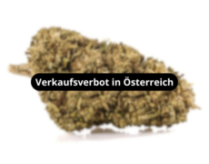 outdoor-mix-blueten-verkaufsverbot-in-osterreich