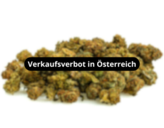 small-buds-mix-blueten-verkaufsverbot-in-osterreich