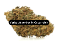 sweet-berry-blueten-verkaufsverbot-in-osterreich 