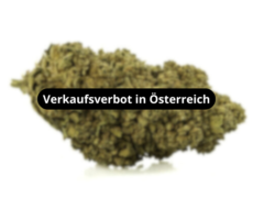 white-widow-blueten-verkaufsverbot-in-osterreich