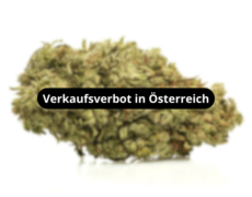 zkittles-cbg-blueten-verkaufsverbot-in-osterreich