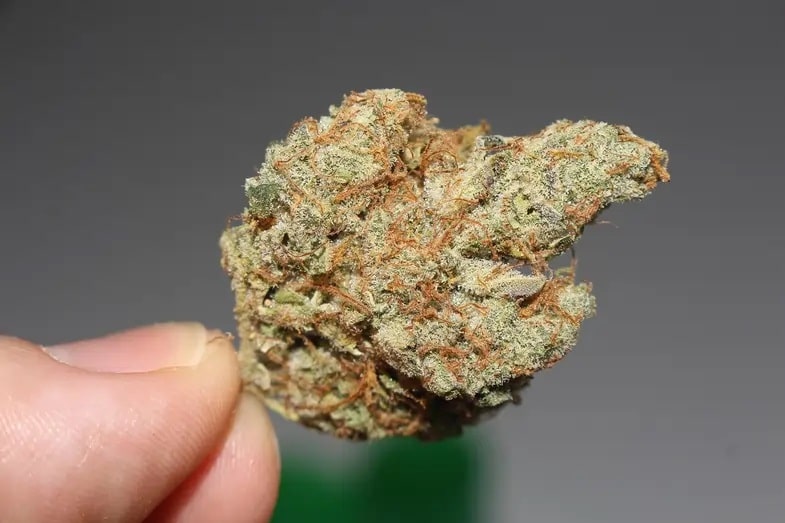 Das gegenkulturelle Erbe im zeitgenössischen Cannabis