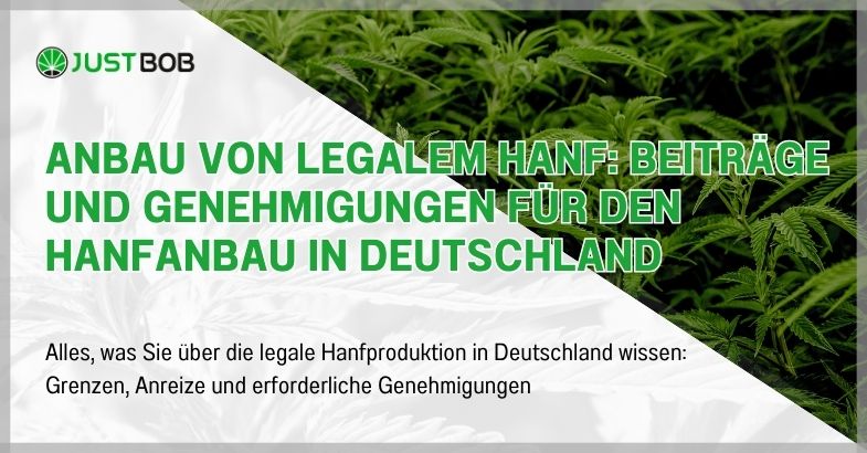 Beiträge & Erlaubnis zum Hanfanbau in Deutschland