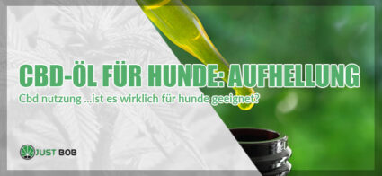 CBD-Öl für Hunde: Aufhellung