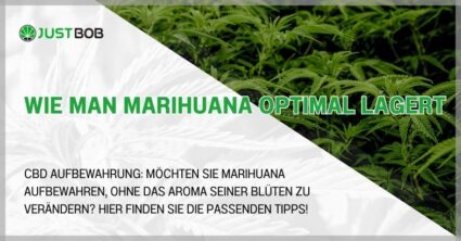 Wie man Marihuana optimal lagert
